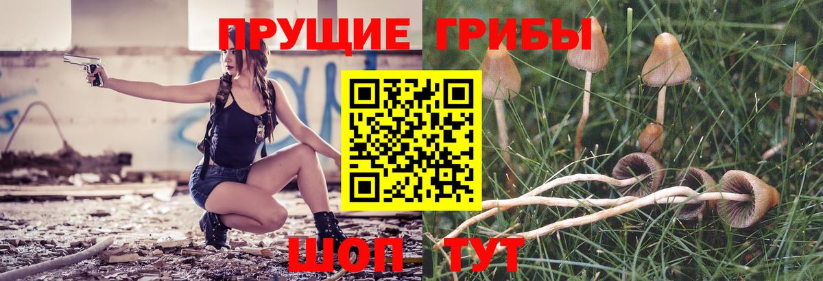 Псилоцибиновые грибы GOLDEN TEACHER  Вход с VPN  Губкин 