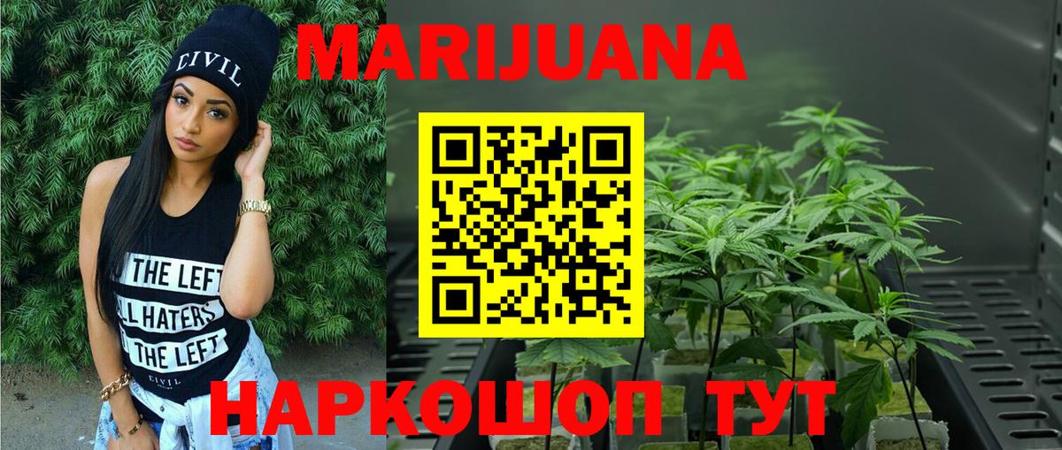 Конопля план Губкин